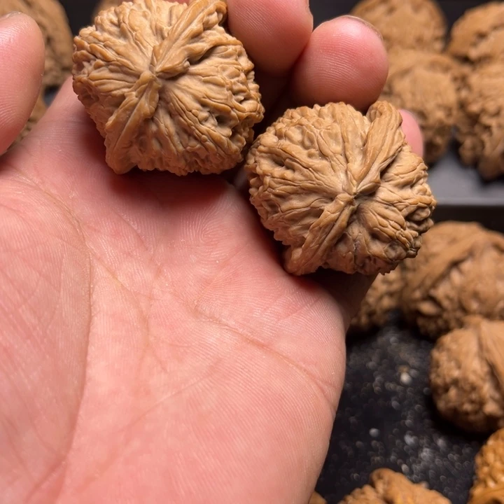 核桃手串/手链I****m白狮子