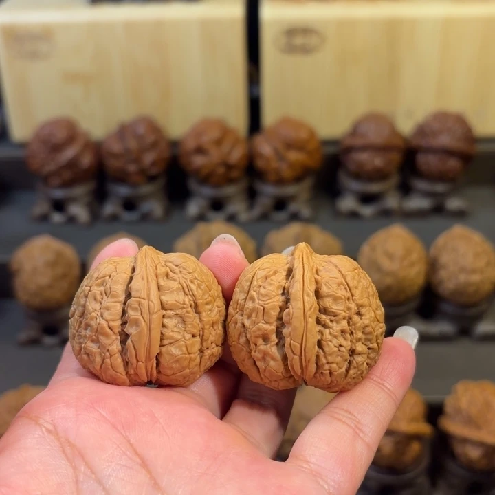 文玩核桃把件金甲蟾