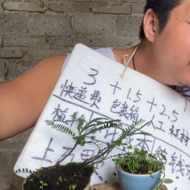 退款拉黑一物一拍350