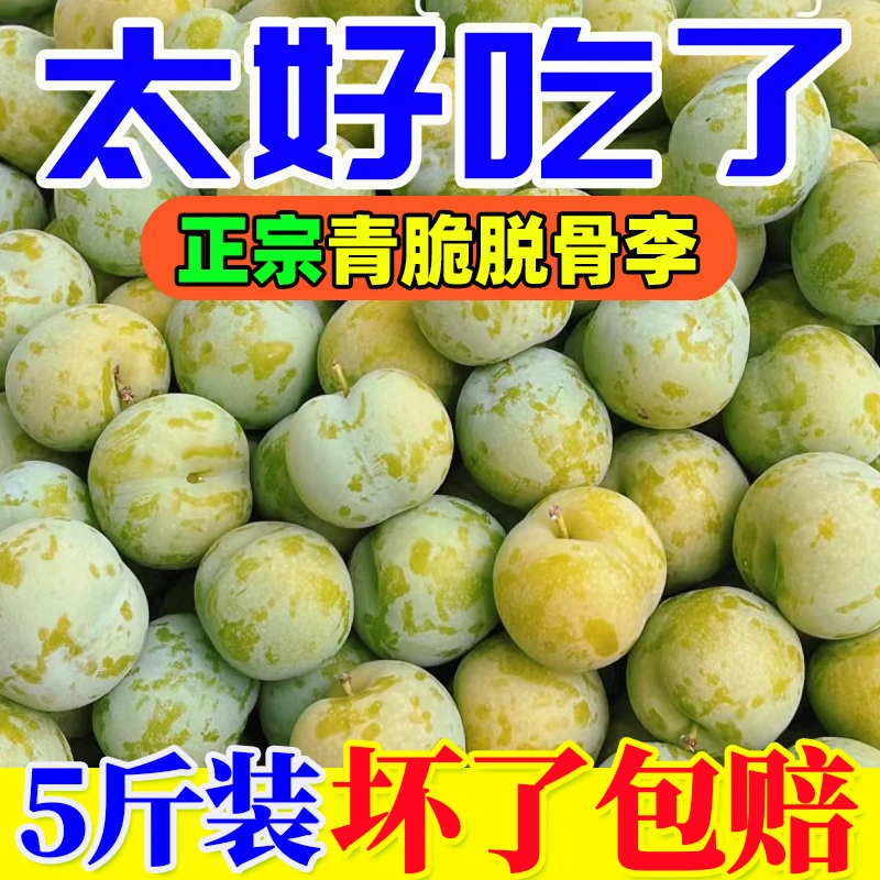 正宗四川贵州青脆李脱骨李新鲜应季水果重庆脱骨李脆甜多汁