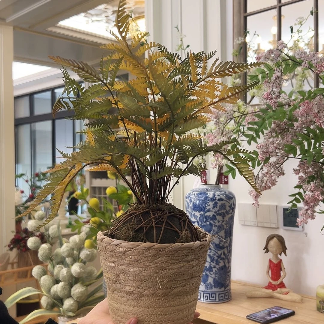 抖音直播间蕨篮子