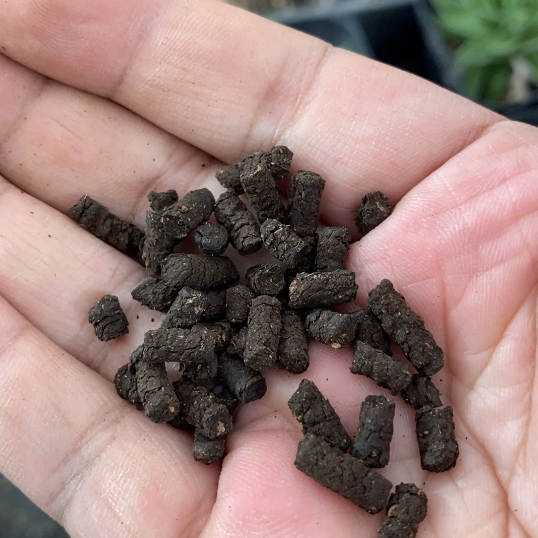 一斤草炭颗粒土 神龙老板一手货 直播间专属福利