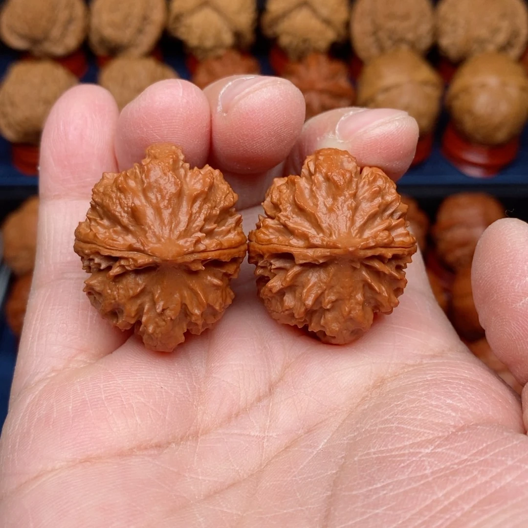 把件文玩核桃手捻野生霸王龙