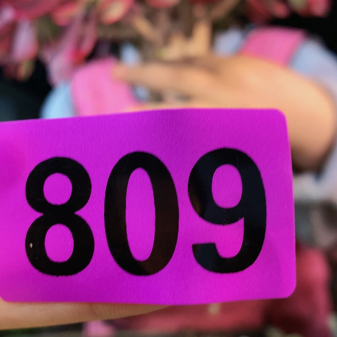 sssssssssssssssssssssssssss809