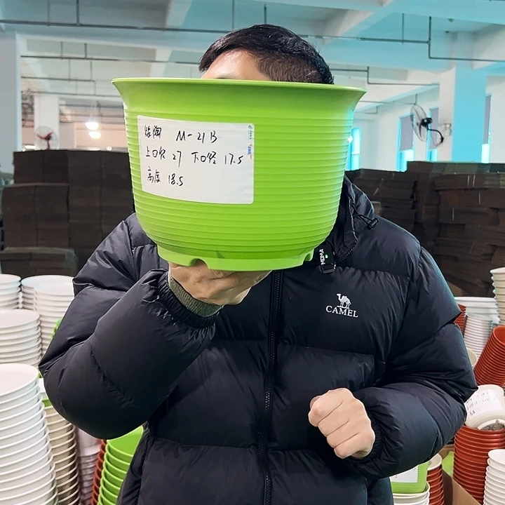 正品矮陶口27高18.5果绿无托6只