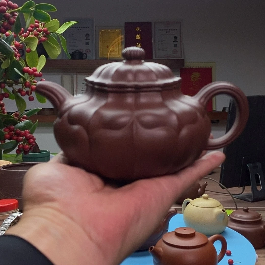 【闪购商品】茶壶底槽青鼓菱:500CC裴顺良:国高工