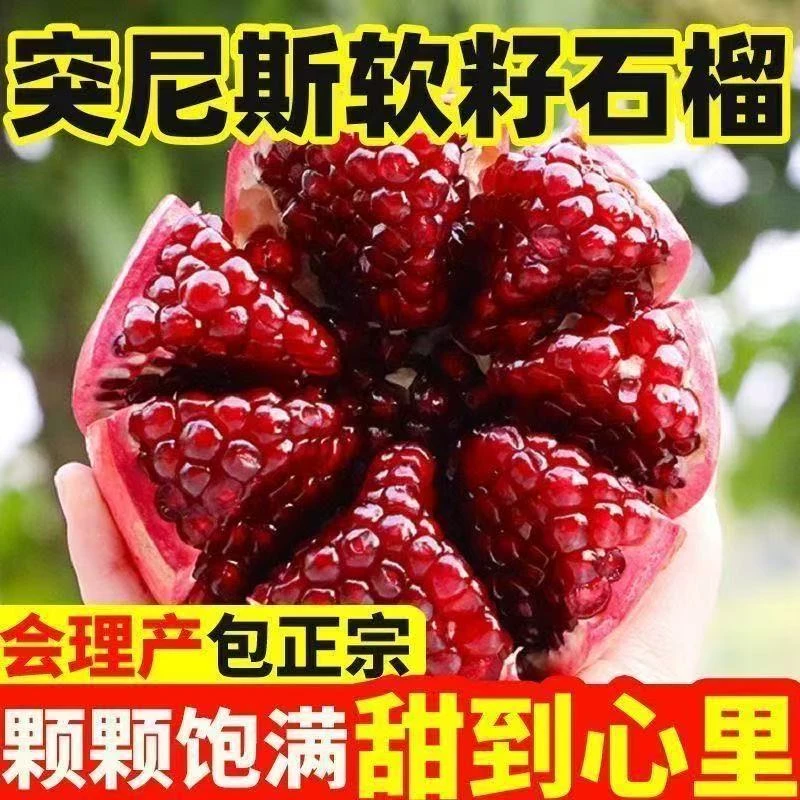 四川会理软籽石榴突尼斯石榴应季水果爆甜多汁新鲜采摘石榴