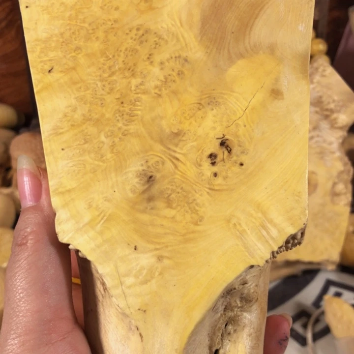 子***学木木料木料木料木料