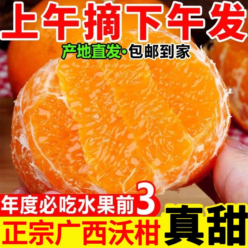 【广西沃柑】香甜桔橘子当季新鲜水果清甜多汁化渣9-10斤