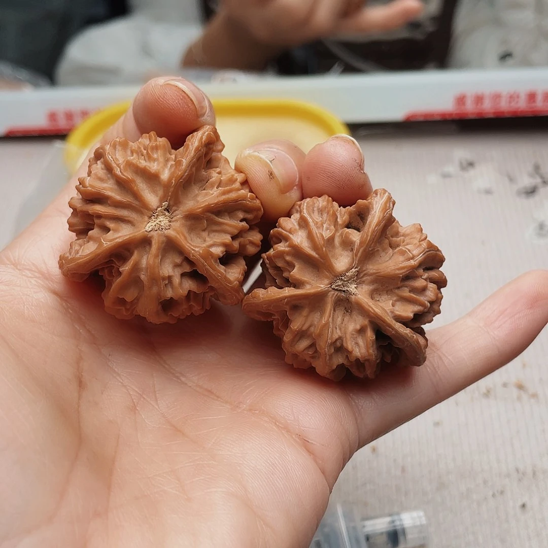 狮**向三棱镜是什么东西我真的