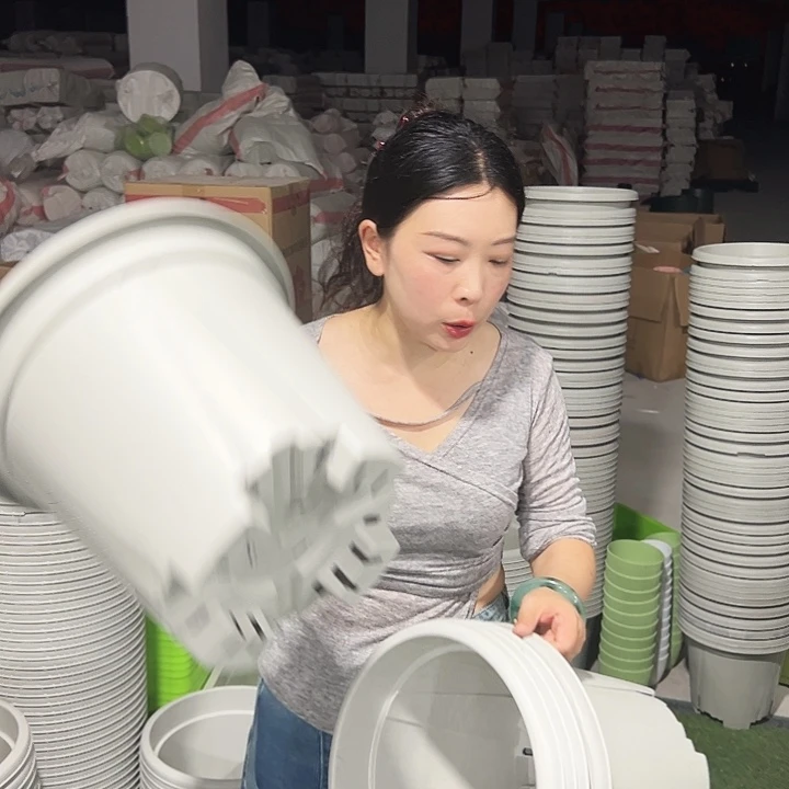 微瑕青山口32高28灰白6只无托