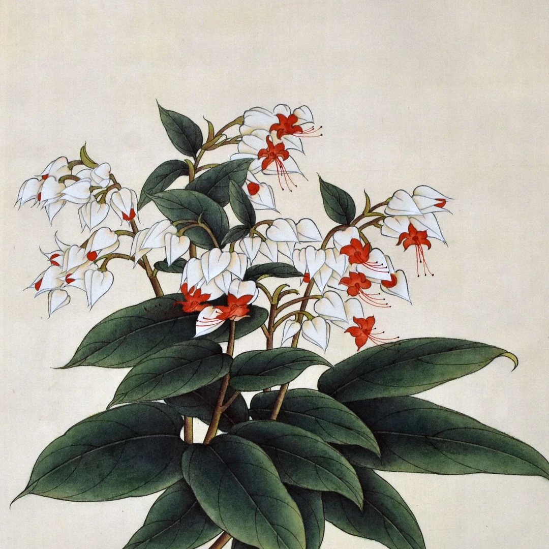 HM0585 花卉 42×43cm 绢本立轴 1.6平尺