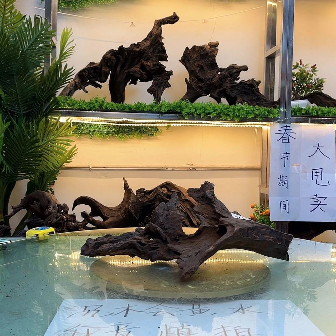 柚木二****分沉木鱼缸造景