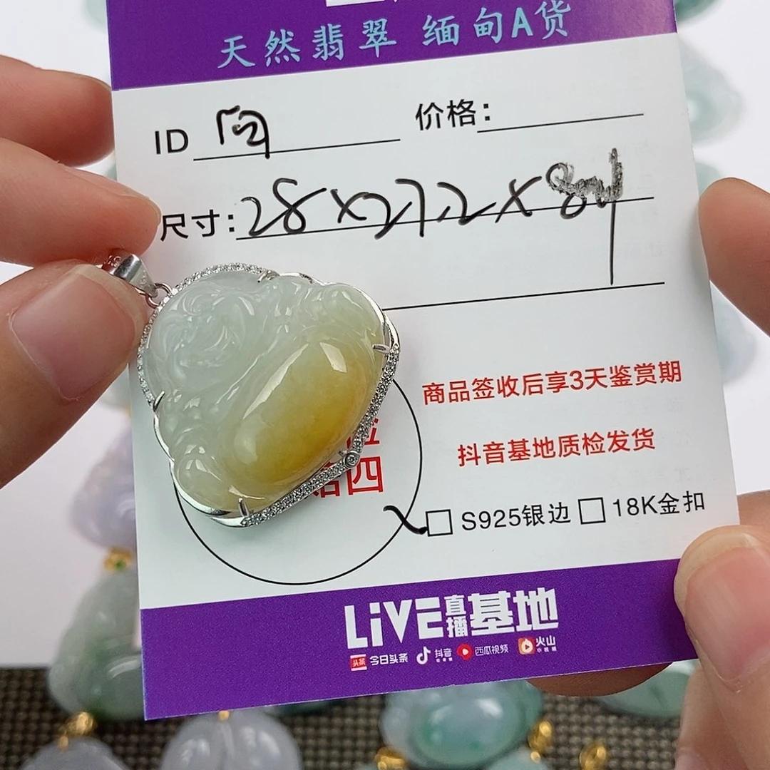 翡翠银S925镶嵌颈饰向**开翡翠