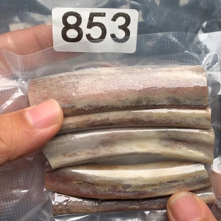 大果紫檀（缅甸花梨）