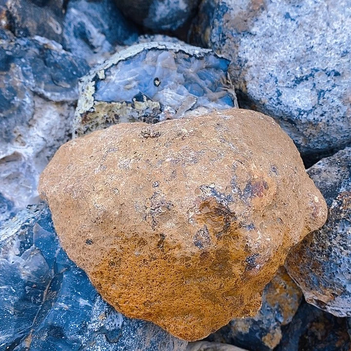 ****蛋定制玛瑙顶我伯伯