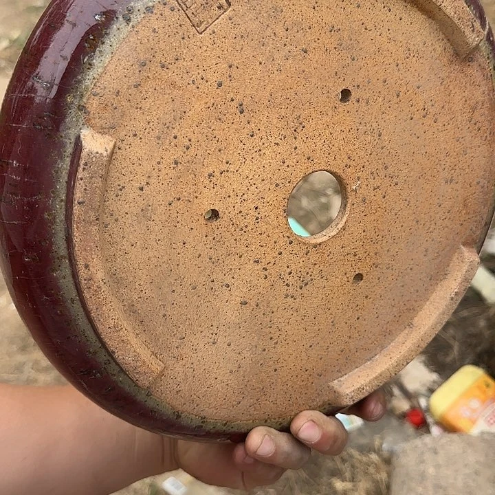 这就是为什么不可以说呢还是因为这个