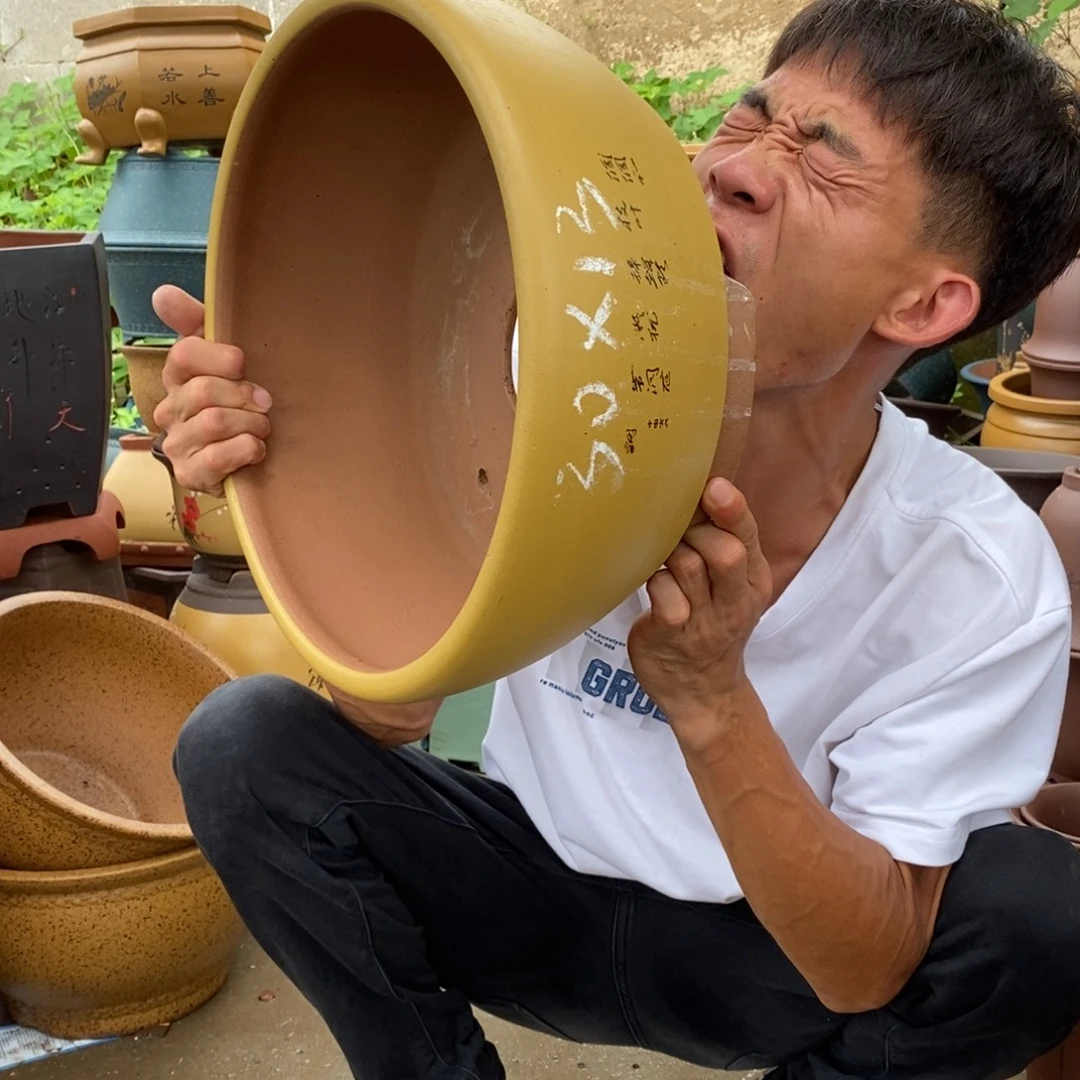 紫砂紫砂紫砂紫砂