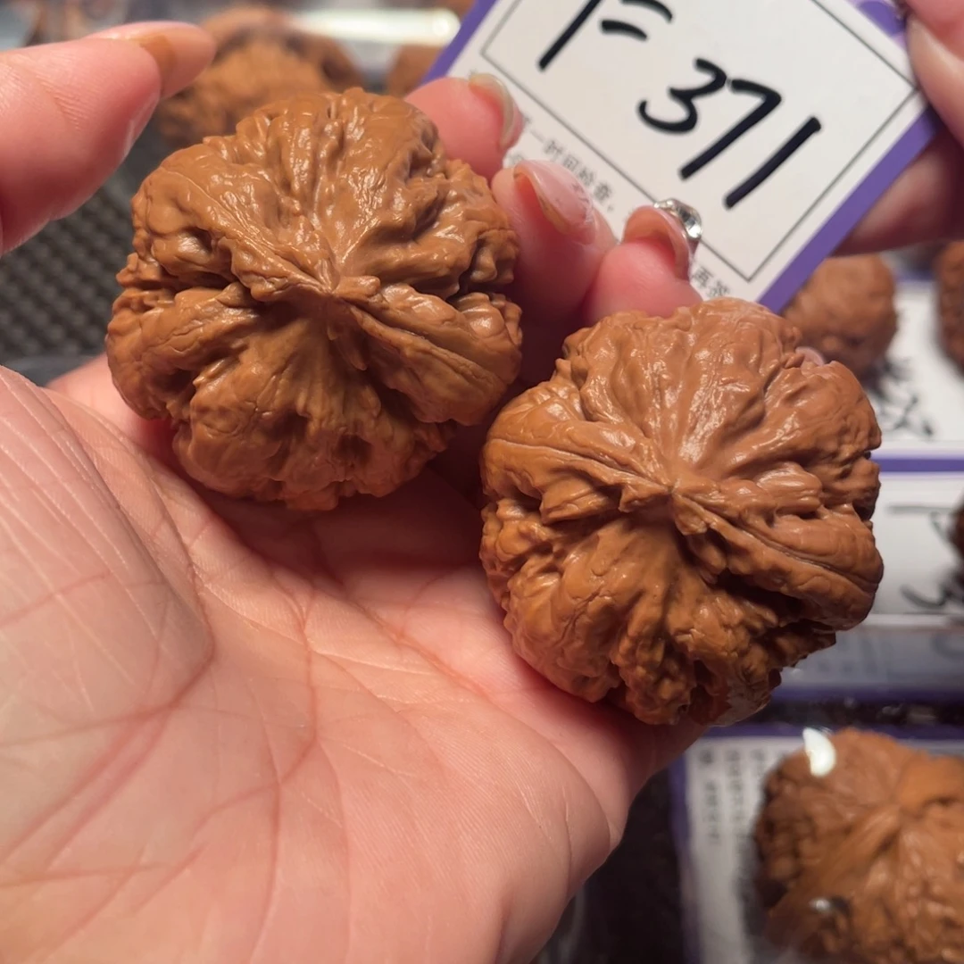 文玩核桃把件371号霸王龙44