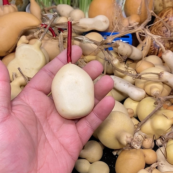 ?*哥精品葫芦手把葫芦57