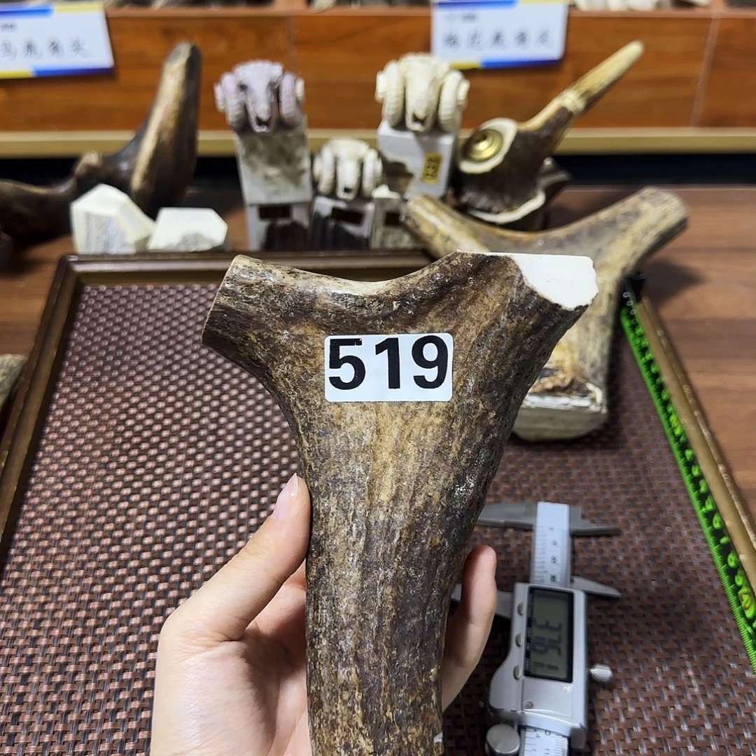 鹿骨手串/手链519弹弓14.5*12.2*3.7cm