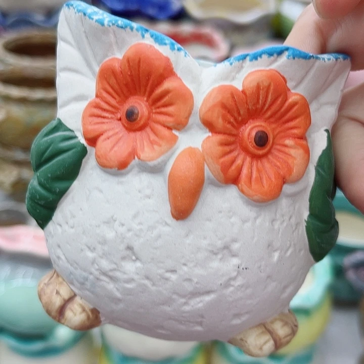 多肉绿植陶瓷花盆9.9包邮，有孔