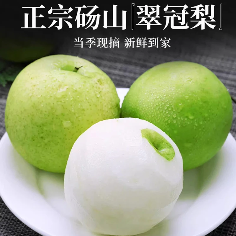 【彩箱+顺丰】正宗砀山翠冠梨子新鲜水果净重5斤 约6-8个 坏果包赔