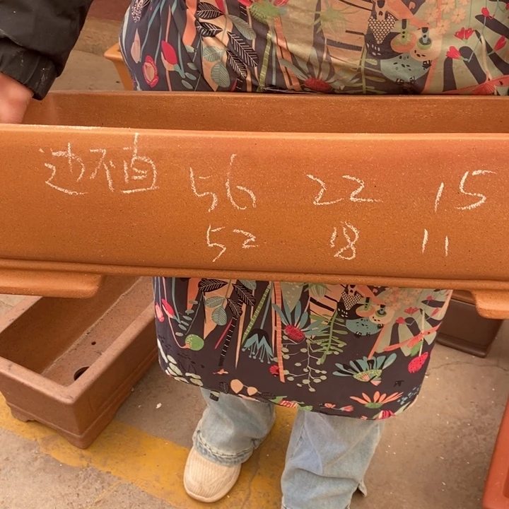 紫砂花盆只顾看电视剧