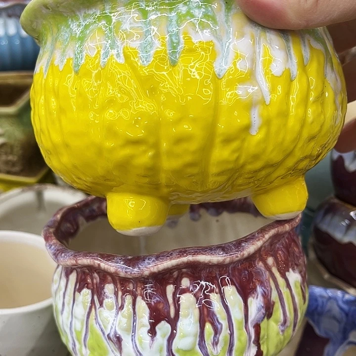 多肉植物陶瓷花盆