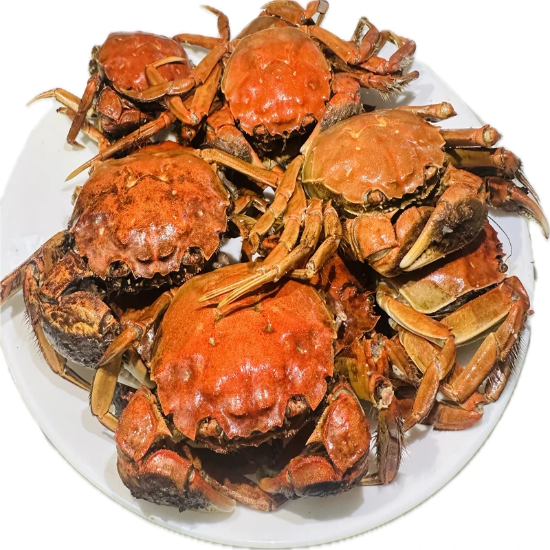 3号全母（活蟹）盘锦河蟹稻田蟹1.4两-1.7两/只 10+5只京东包邮