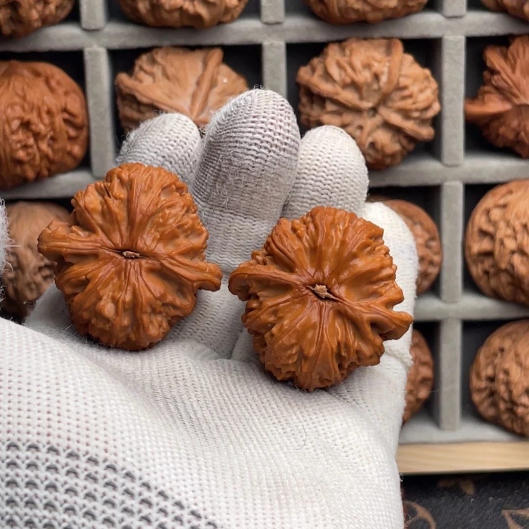 ネ***༄核桃把件38无修山地白狮子