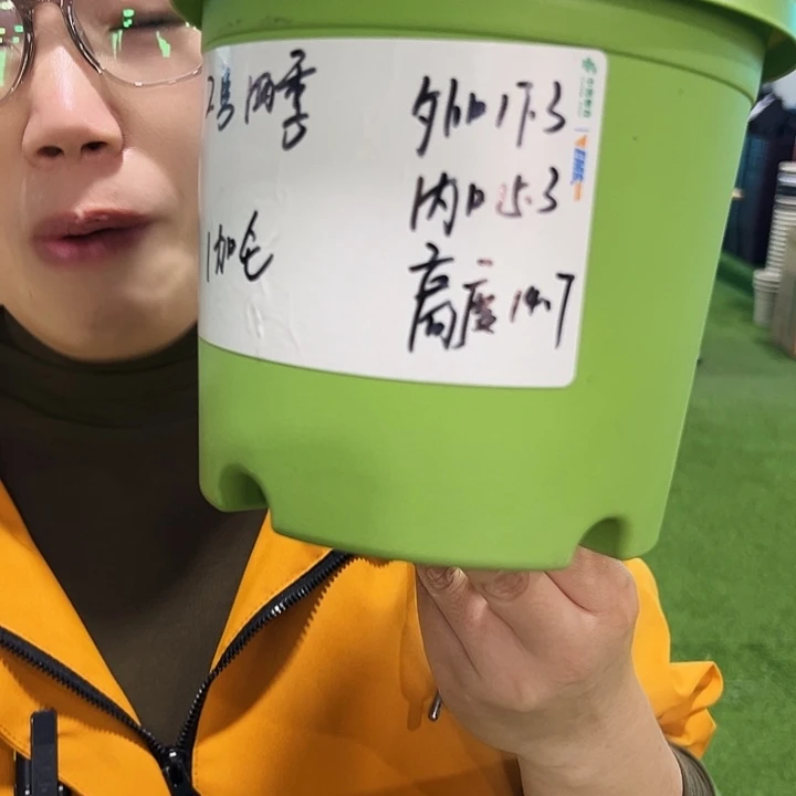 特价四季2号口17高14白色10只无托