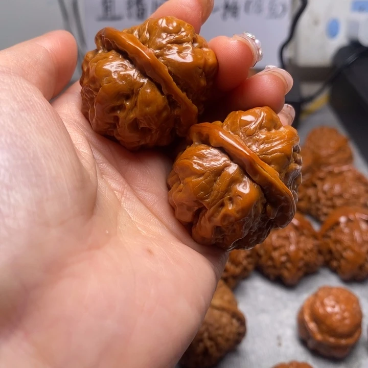 本***隆大叶紫檀（黑酸枝木类）