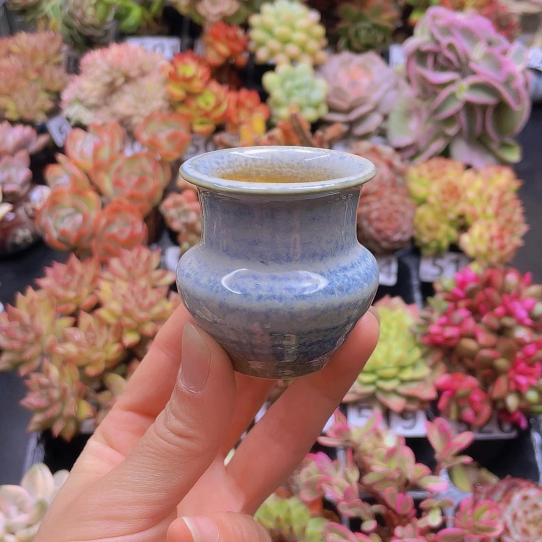 花钱花钱花钱花钱花钱