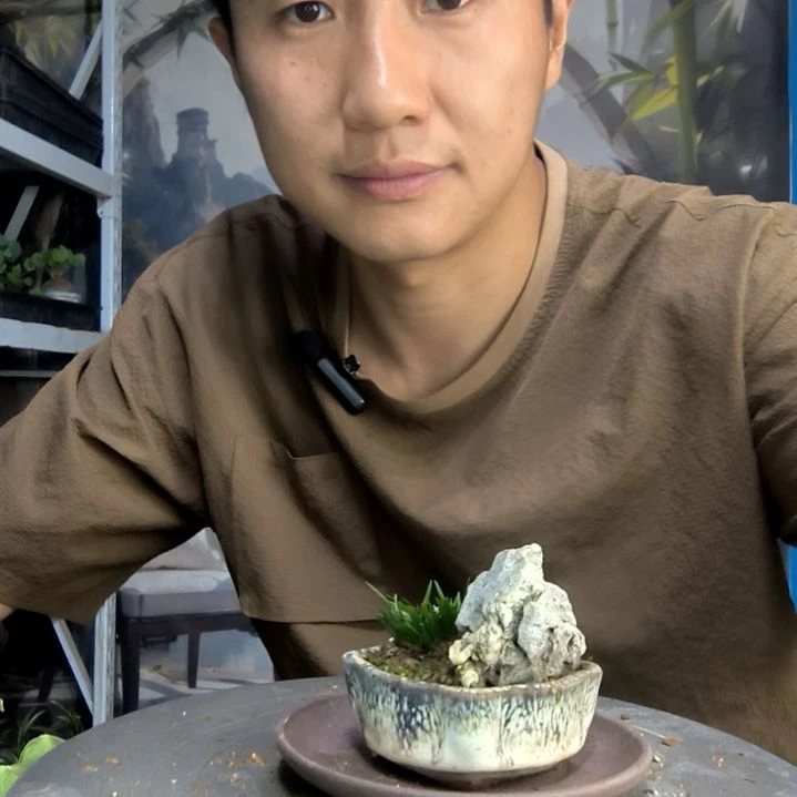 T*中青园艺一物一拍166