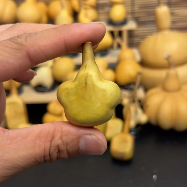 7****7是71566666666998699999