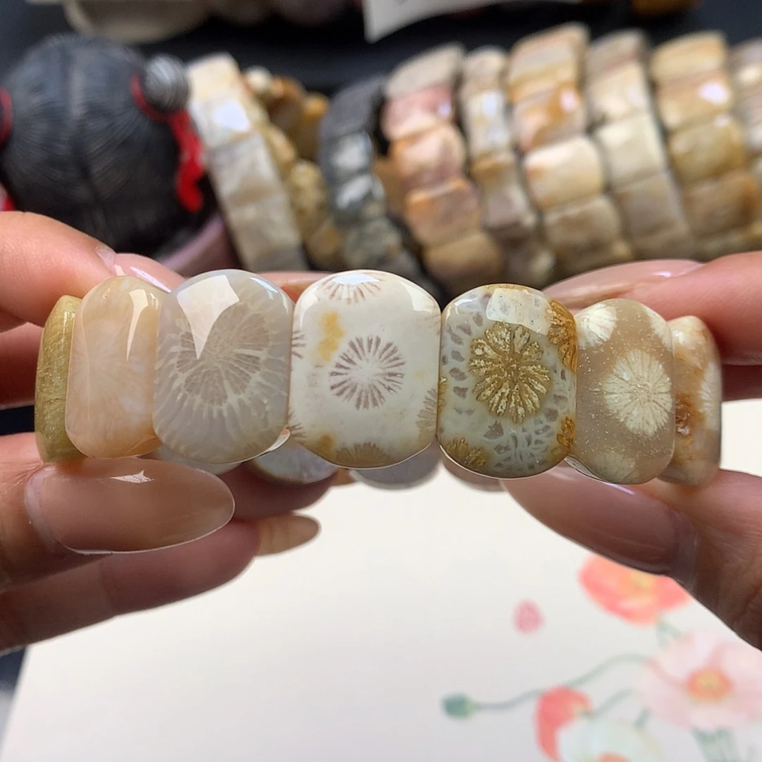 【闪购商品】颈饰未镶嵌硅化珊瑚（珊瑚玉）6号 美