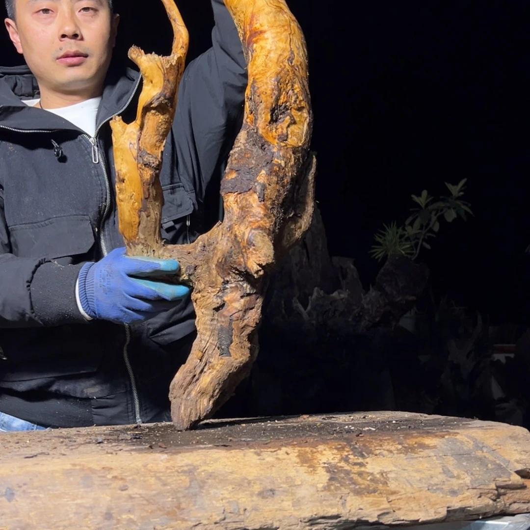 阴沉木淮*子金丝楠木根料摆件等