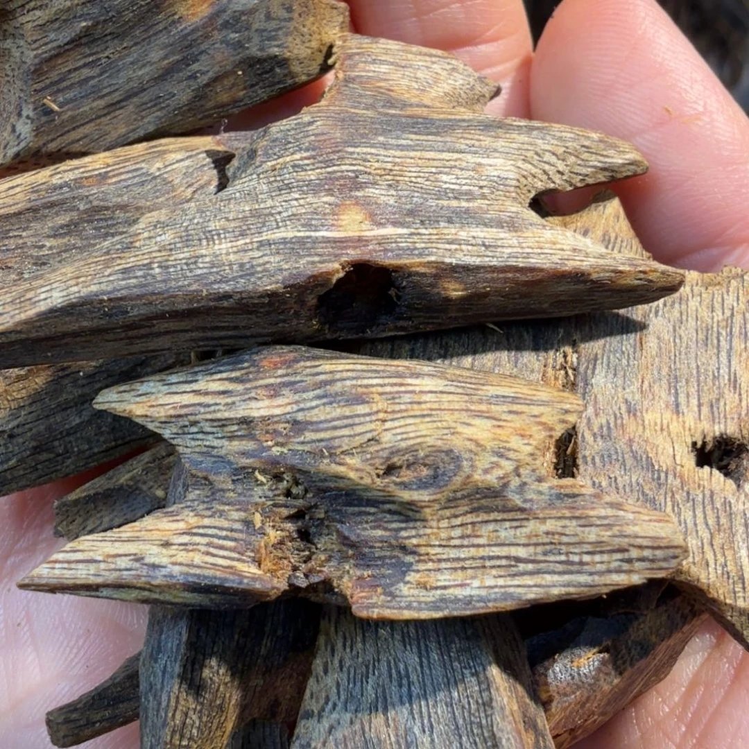 沉香沉香碎屑陆河老牛肉干块料20克