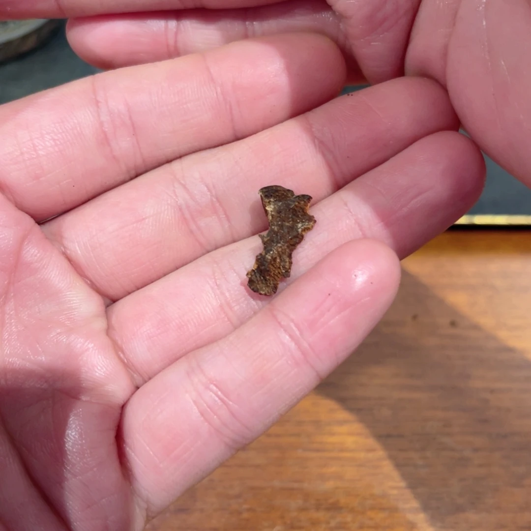 沉香木吊坠真*海南油结黄棋楠0.3g