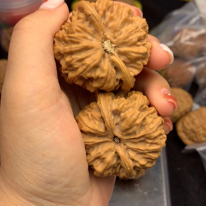文玩核桃吊坠大粗筋