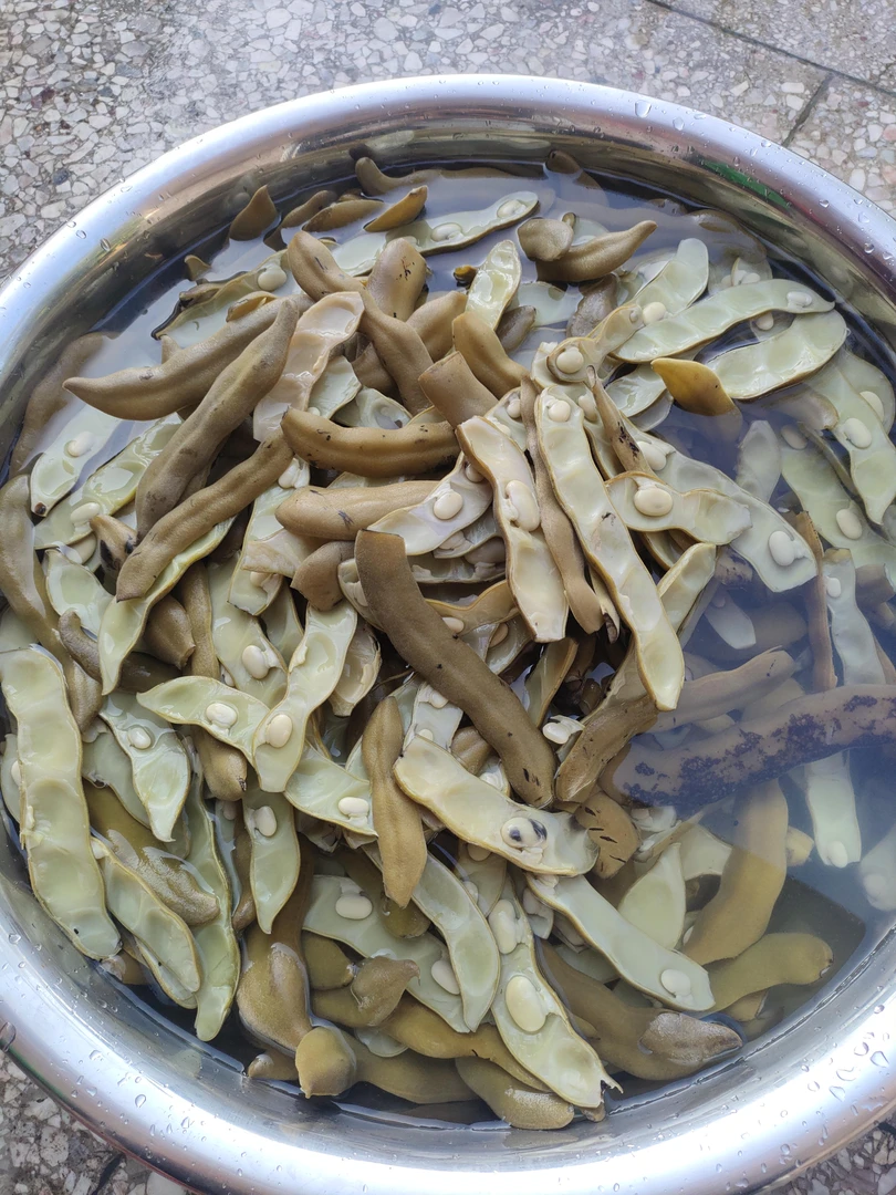 兴国本地新鲜狗爪豆老虎豆真空装