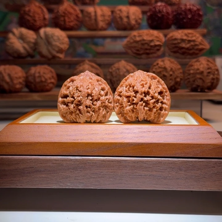 42.5全品满天星小碎纹