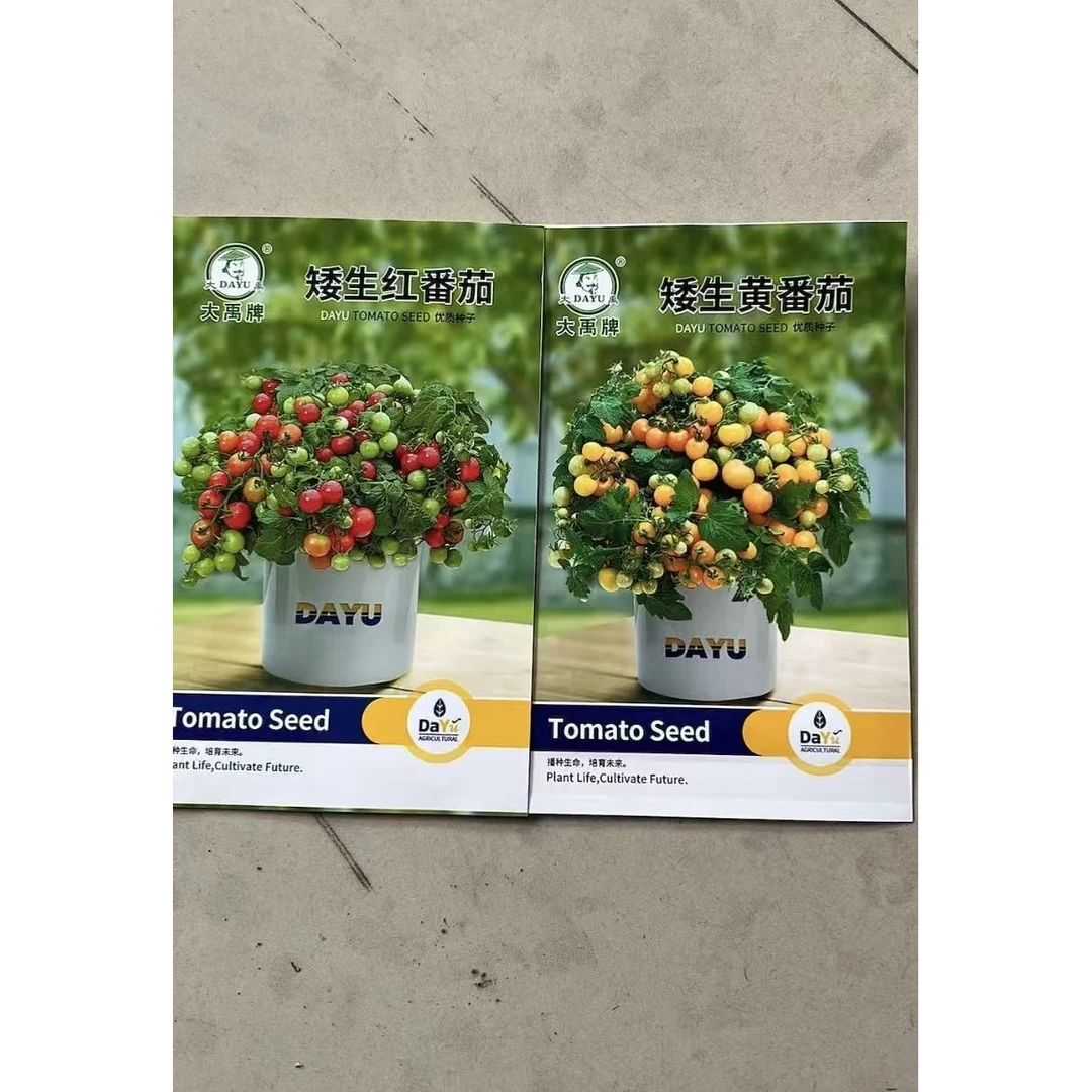 矮生番茄种子盆栽小柿子籽（红+黄）阳台蔬菜可观赏食用小番茄种子