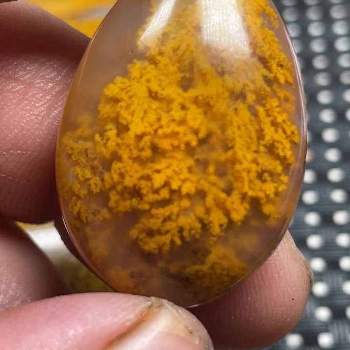 玛瑙/玉髓颈饰未镶嵌江***鱼