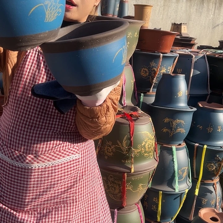 花盆花盆花盆花盆花盆