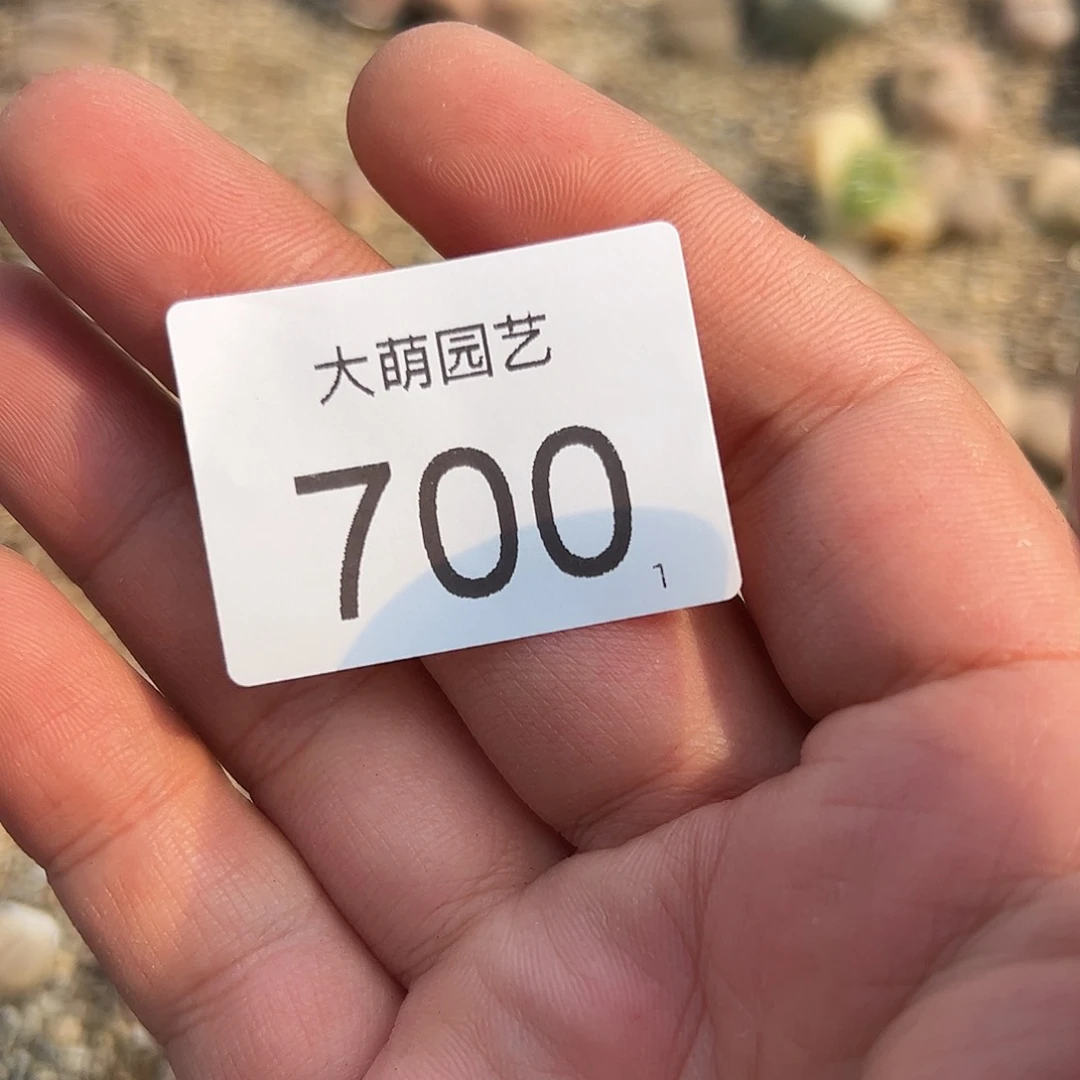 0000700 清框脱土发无售后
