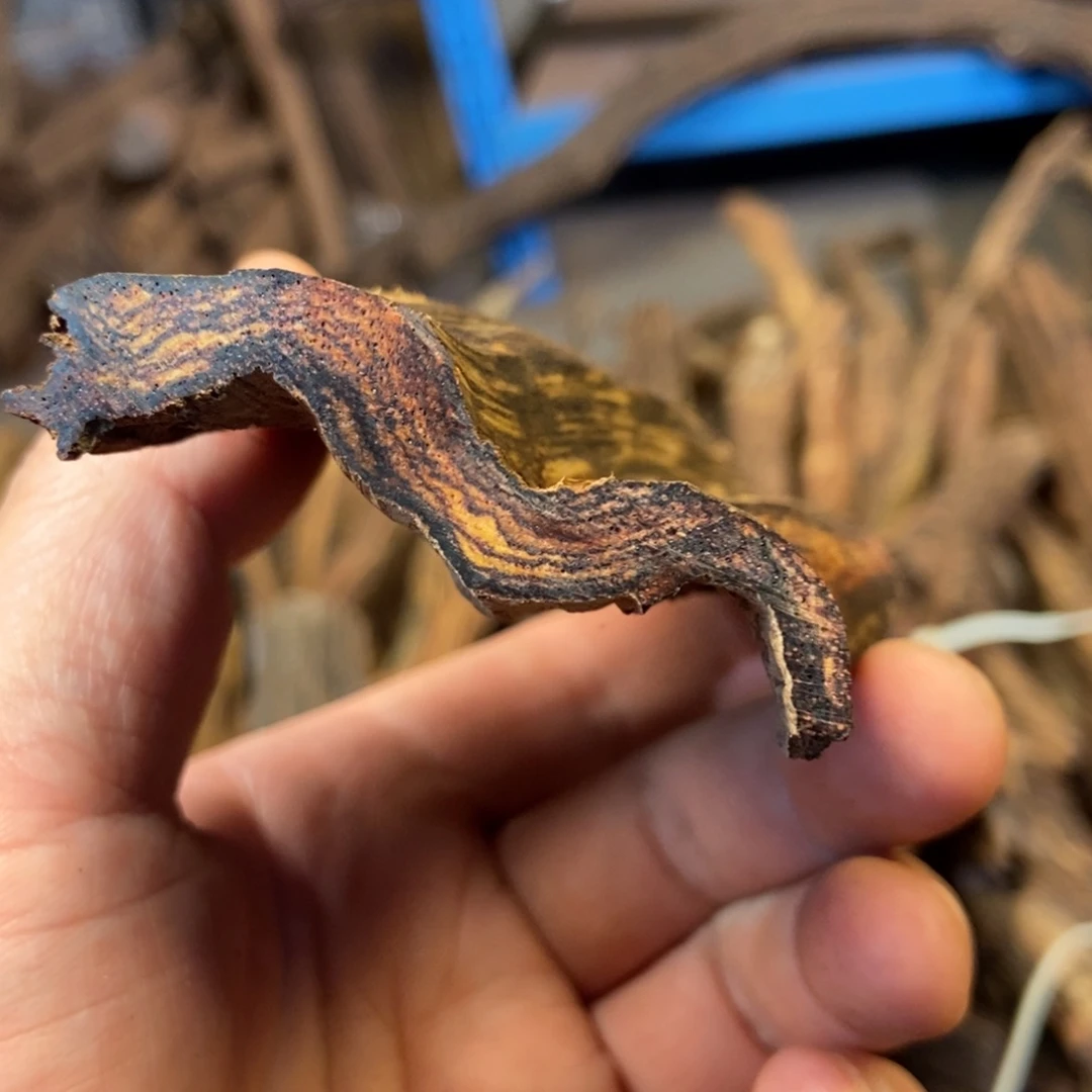H***e海南十亩香虎皮纹老料06圆珠横纹