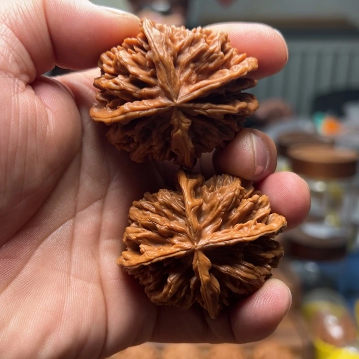 把件文玩核桃帝王狮子头四棱