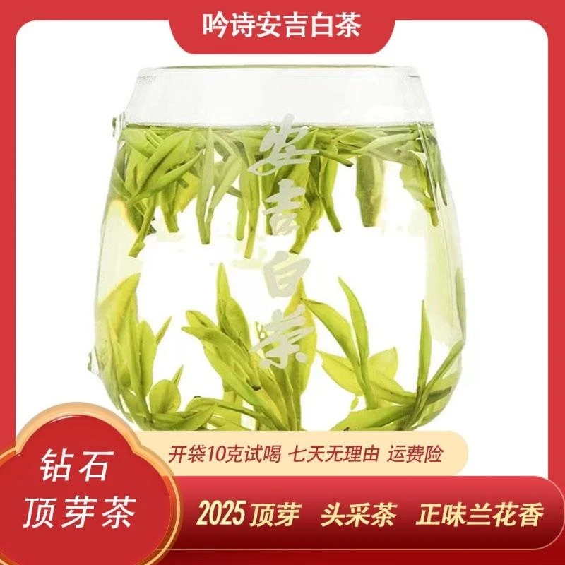 新茶【钻石顶芽安吉白茶】安吉高山茶春季原产地叶礼茶茶叶兰花香